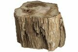 Polished Petrified Wood (Mahogany) Log - Myanmar #185092-2